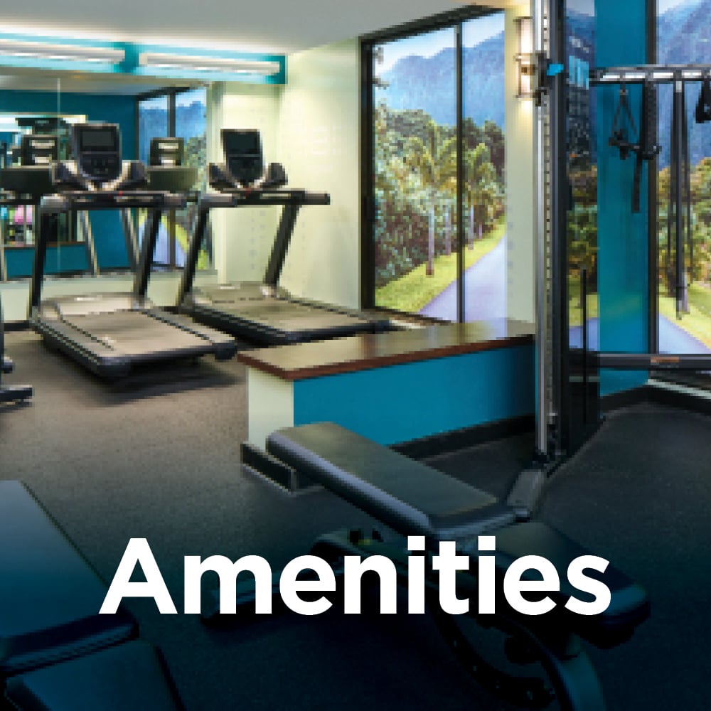 Amenities