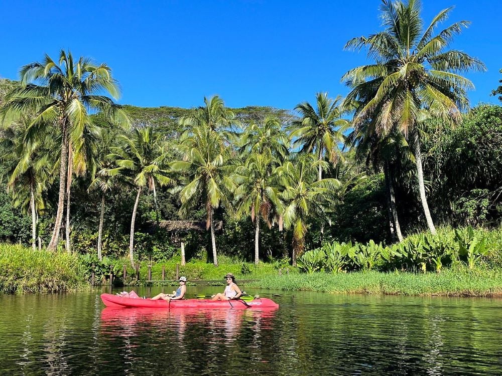 Wailua River State Park Kayak Tour