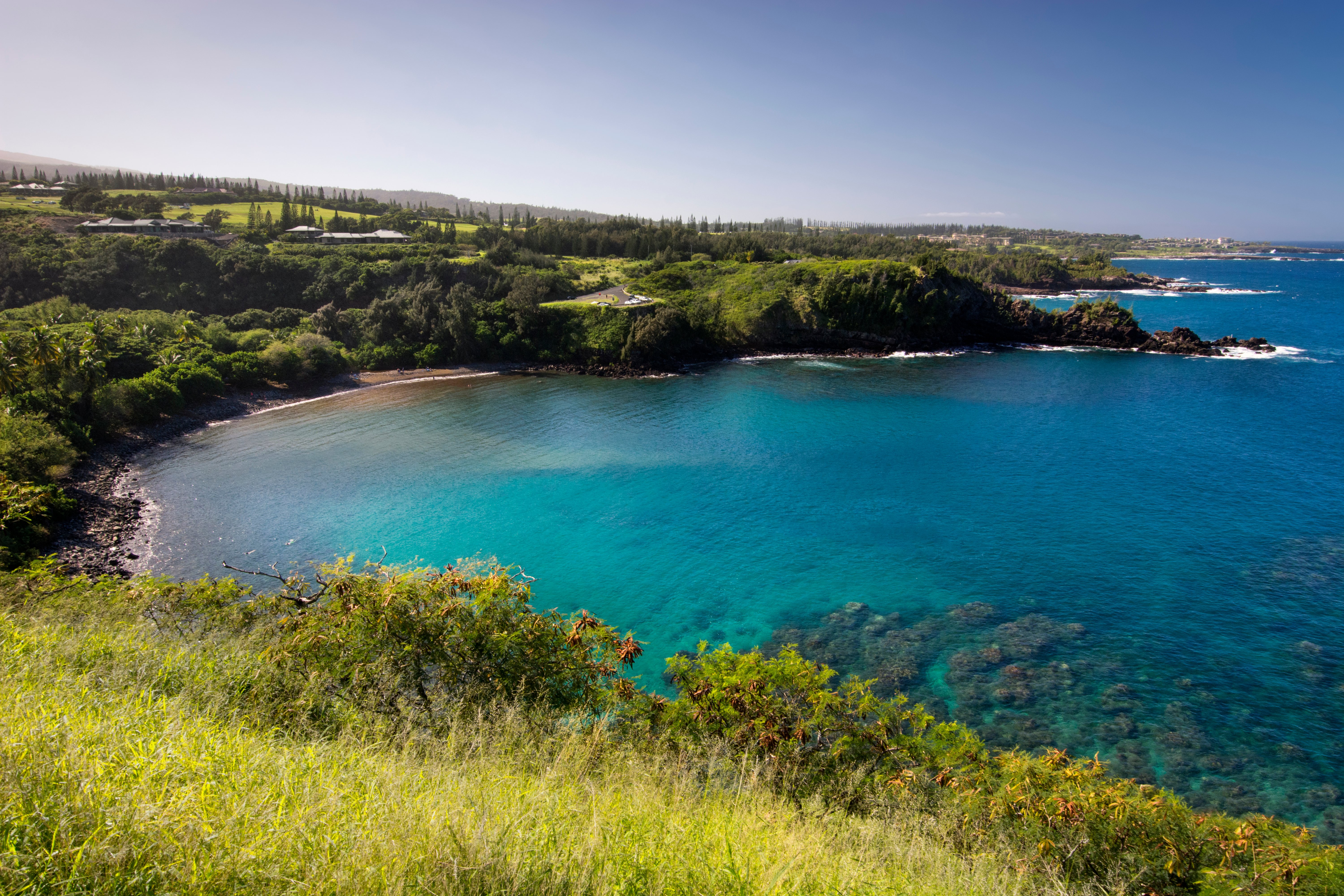 Honolua Bay