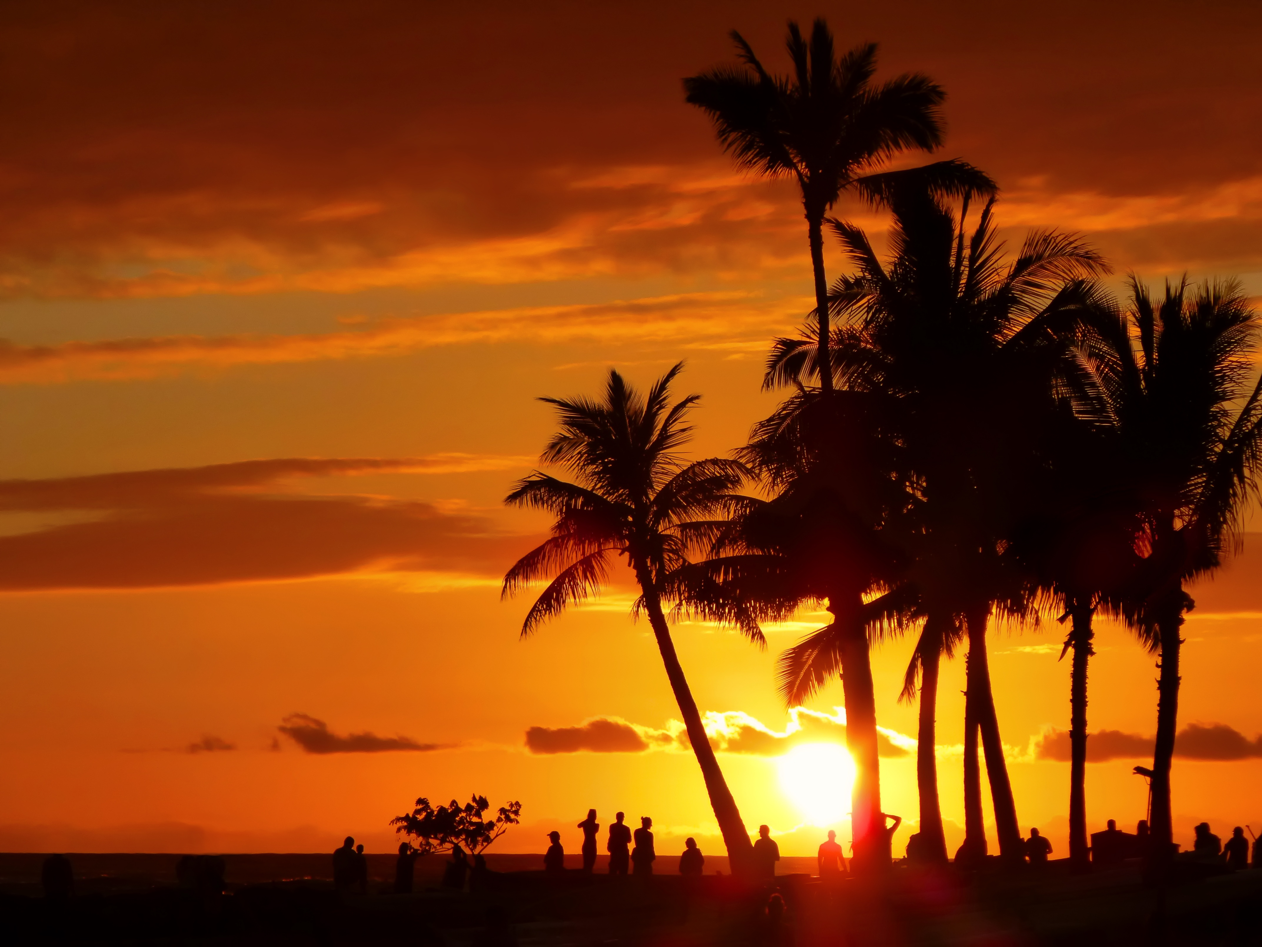 Waikiki Sunset